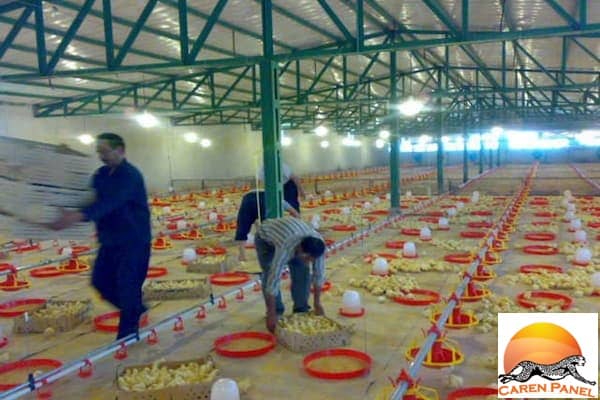 ساندویچ پانل مرغداری